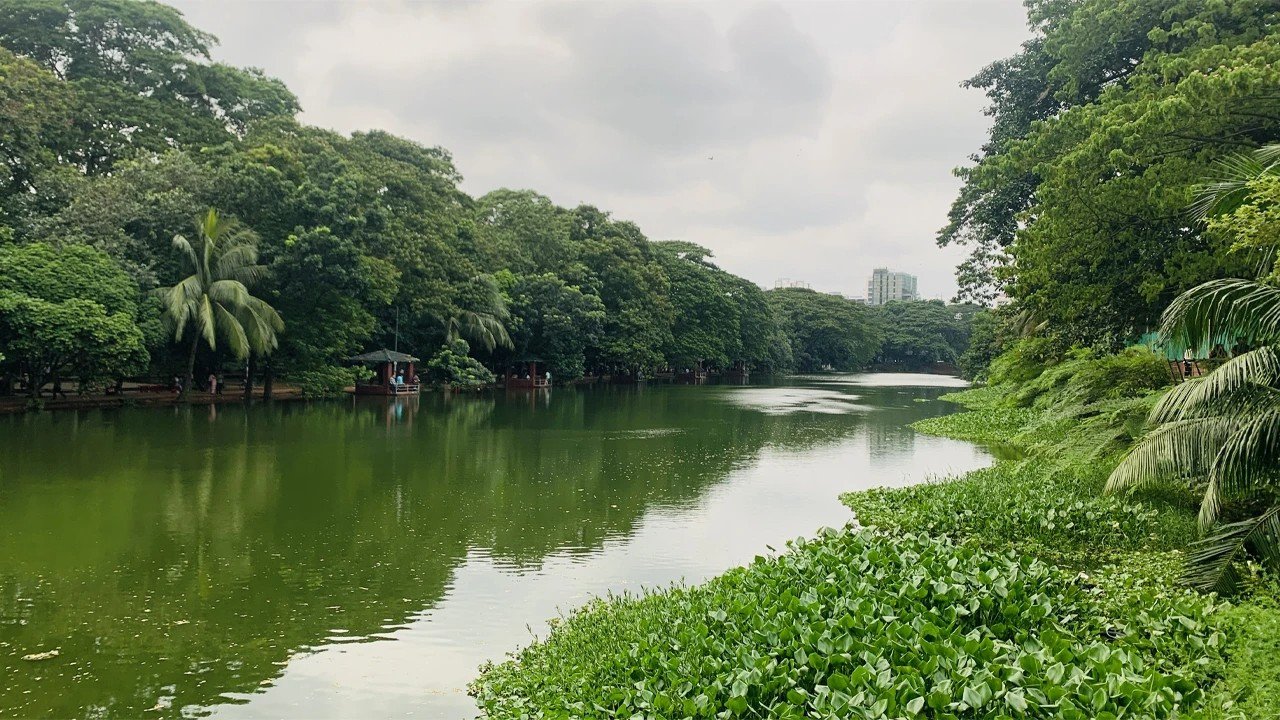 ধানমন্ডি লেকের কাদা ও বর্জ্য সরাতে ব্যয় হবে ২৬ কোটি টাকা